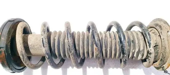 Rear coil spring
