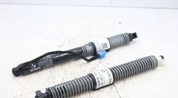 BMW 5 G30 G31 G38 Tailgate/trunk strut/damper 8737952MWGK 8737952