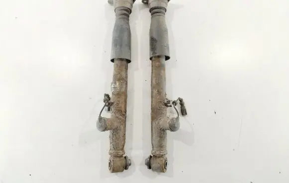 Audi A6 S6 C6 4F Rear shock absorber/damper 4F0616032J