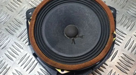 Rear door speaker