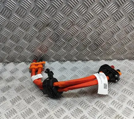 Audi E-tron GT Other wiring loom 9J1971015B