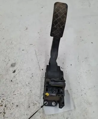 Skoda Roomster (5J) Accelerator throttle pedal 0280755055