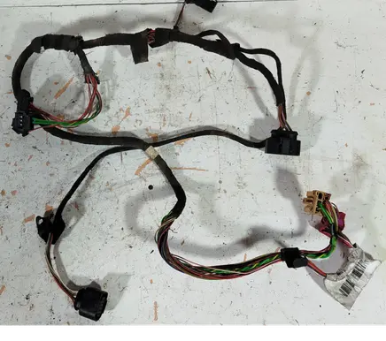 Front door wiring loom