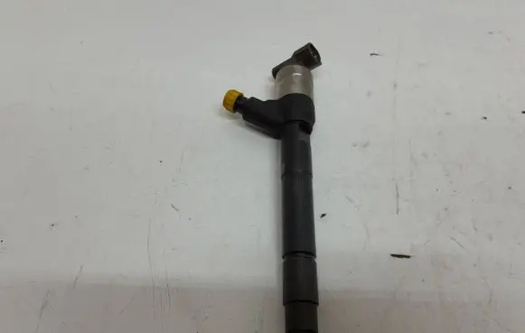 Opel Insignia A Fuel injector 55570012