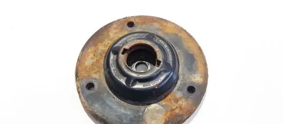 Coil spring mount