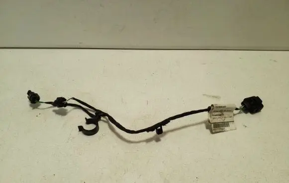 Volkswagen ID.4 Other wiring loom 1EA971658