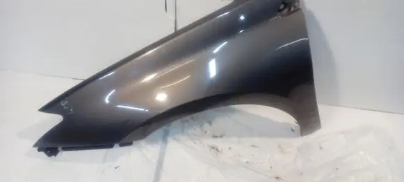 Renault Laguna III Fender