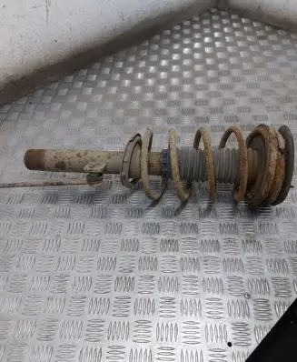 Peugeot 406 Front shock absorber/damper