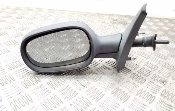 Renault Megane I Manual wing mirror E2014008
