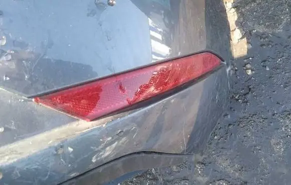 Seat Leon (5F) Rear tail light reflector 