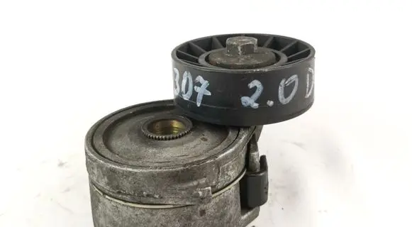 Peugeot 307 Timing belt tensioner 505424