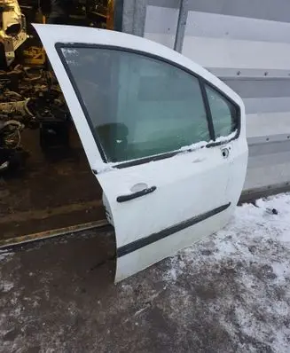 Renault Modus Front door