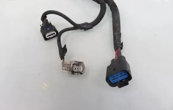 Ford Focus Other wiring loom