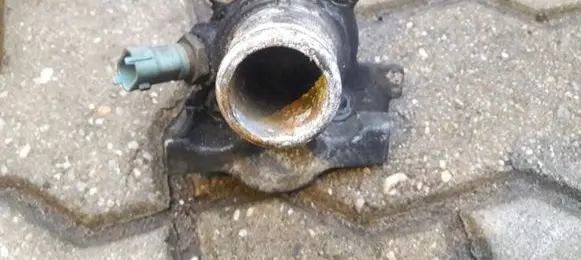 Thermostat/thermostat housing