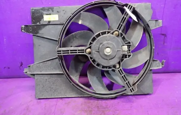 Ford Fiesta Fan set 