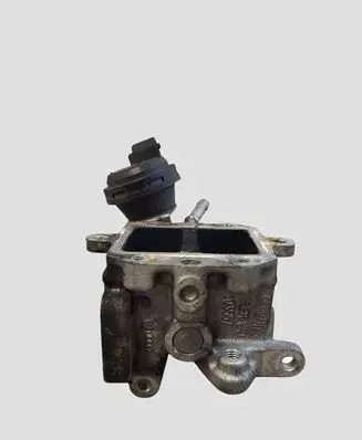 Seat Leon (1P) EGR valve 103557