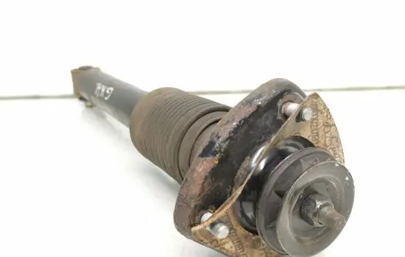 Rear shock absorber/damper