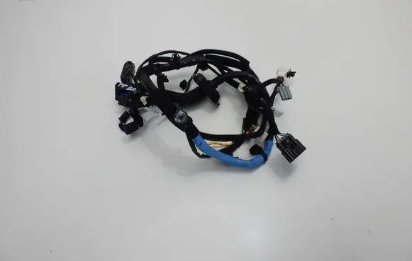 Hyundai Bayon Front door wiring loom/harness boot 91600-Q0170