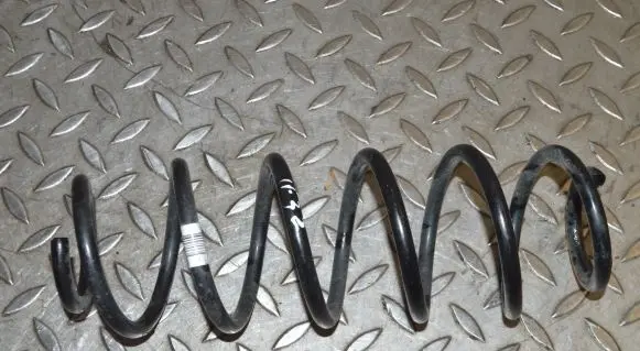 Ford Fiesta Rear coil spring 1BC5560AAB