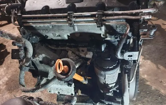 Volkswagen PASSAT B6 Engine BKC