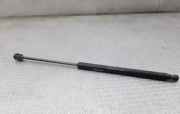 Tailgate/trunk strut/damper