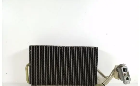 Mercedes-Benz CLS C219 Air conditioning (A/C) radiator (interior) A2118300358