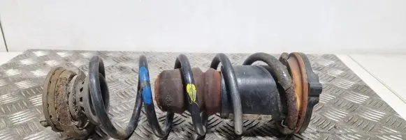 Citroen Nemo Rear coil spring