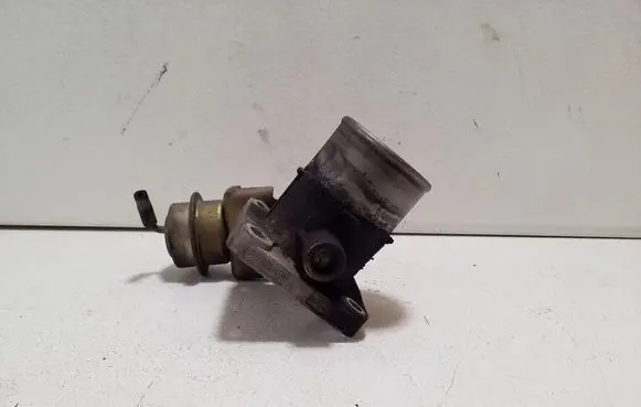 Nissan Pathfinder R51 Throttle valve RDB5051