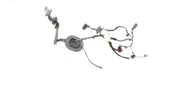 Mini Cooper Countryman R60 Other wiring loom CH2214632DC