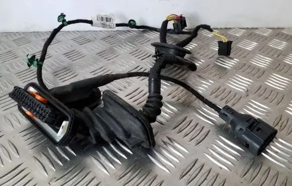 Volkswagen Touran II Front door wiring loom 1T2971120C