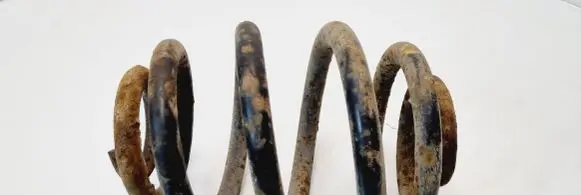 Seat Alhambra (Mk1) Rear coil spring