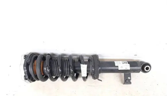 BMW X3M F97 Rear shock absorber with coil spring 8067507 37108067507