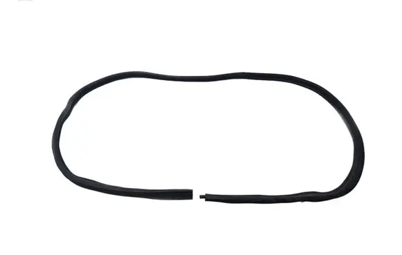 Dodge Challenger Trunk rubber seal (body) AL25592XTP006JJJJ4