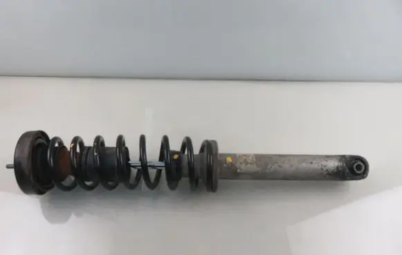 BMW 5 E39 Rear shock absorber with coil spring RA6275 1093646