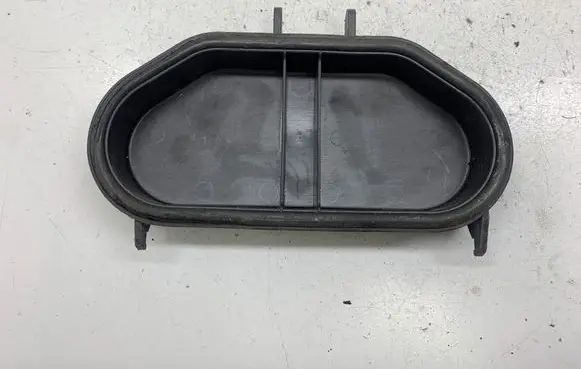 Headlight/headlamp dust cover