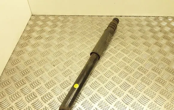 Dacia Sandero Rear shock absorber/damper 562103901R