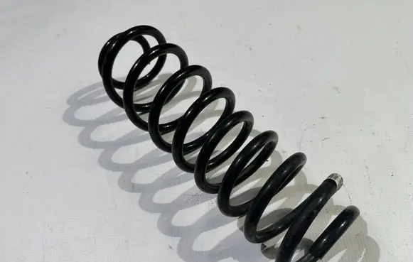 Ford Mustang V Rear coil spring BR33-5560-BB