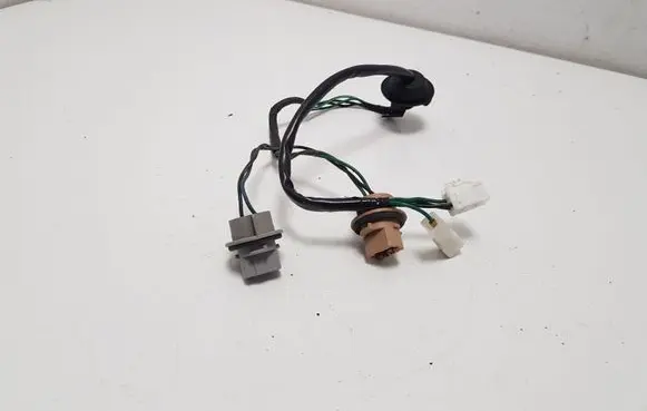 Subaru Outback Tail light bulb cover holder