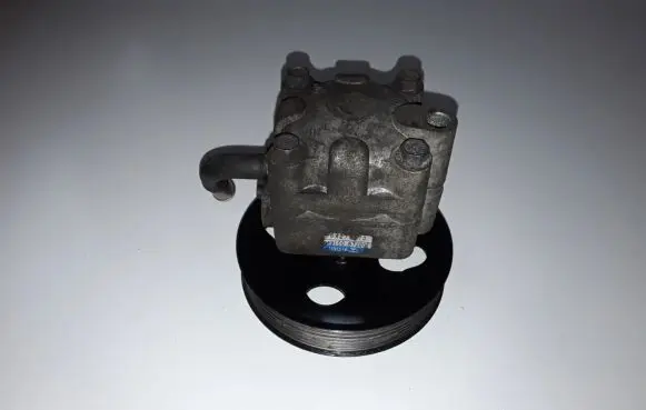 Suzuki Grand Vitara II Power steering pump 4910067J00
