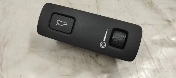 Volvo S90, V90 Tailgate opening switch 31443873