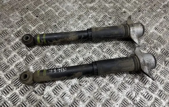 Rear shock absorber/damper