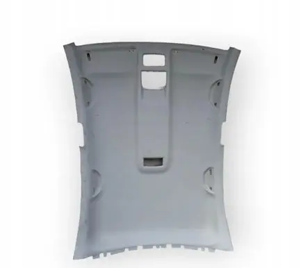 Skoda Octavia Mk2 (1Z) Headlining 1Z9867501