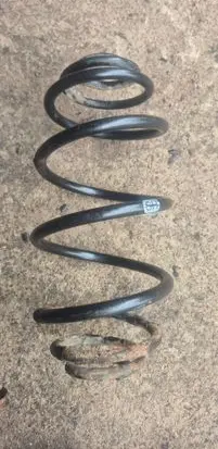 Rear coil spring