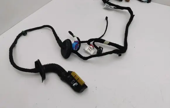 Front door wiring loom