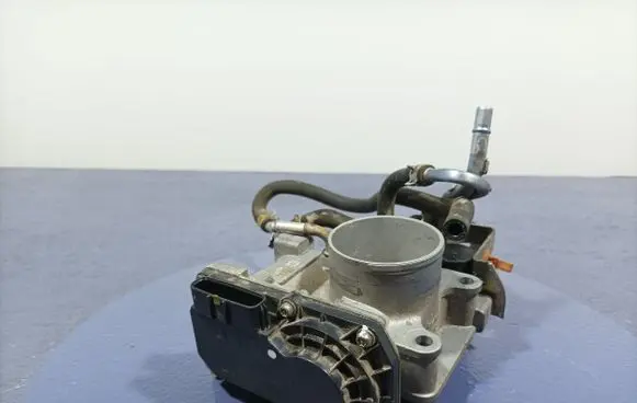 Throttle body valve
