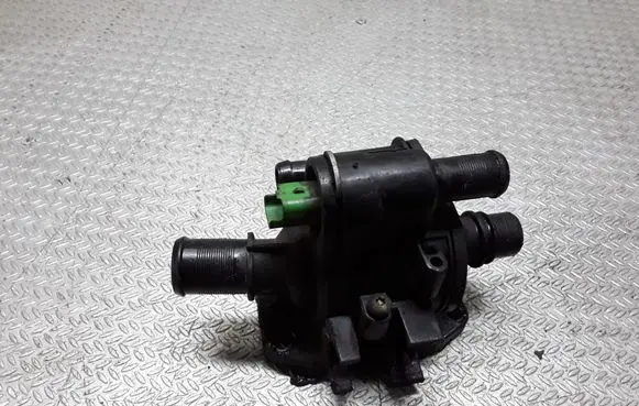 Thermostat/thermostat housing