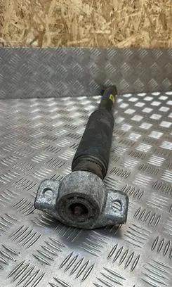 Opel Zafira C Rear shock absorber/damper 13419903