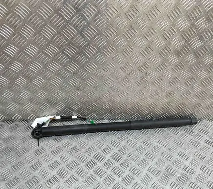 Peugeot 408 II Tailgate/trunk strut/damper 9841612980
