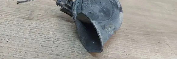 Volkswagen PASSAT B6 Horn signal E1000209