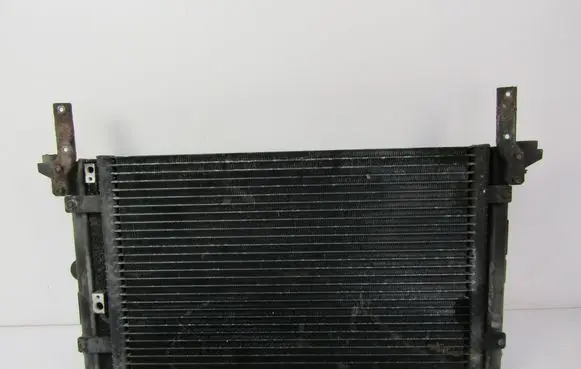 Renault Scenic I Coolant radiator 